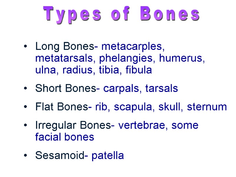Long Bones- metacarples, metatarsals, phelangies, humerus, ulna, radius, tibia, fibula Short Bones- carpals, tarsals